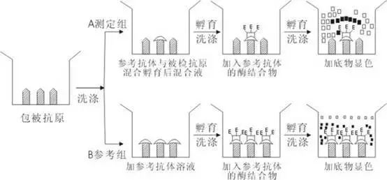 值得收藏!elisa在体外诊断免疫学检验中的方法都讲到了