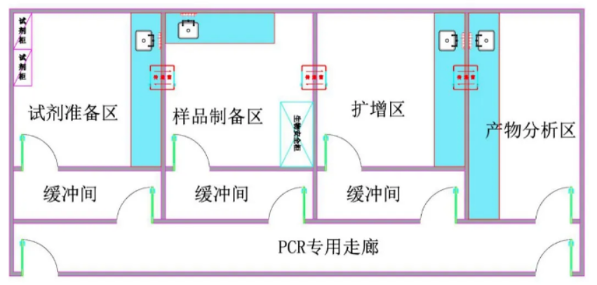 pcr实验室平面图